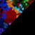 Multicolor/Black
